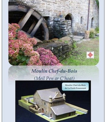 13940 vodjanaja melnica s dvojnym kolesom moulin chef du bois secanda iz bumagi razvertka shablon papercraft skachat besplatno mir bumazhnogo mod 0136ed6.jpg