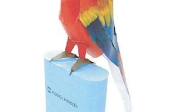17352 krasnyj ara konica minolta iz bumagi razvertka shablon papercraft skachat besplatno mir bumazhnogo modelirovanija b64f6e8.jpg