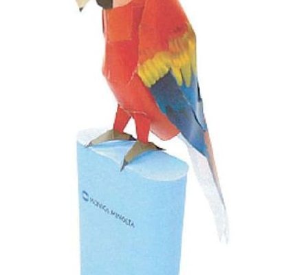 17352 krasnyj ara konica minolta iz bumagi razvertka shablon papercraft skachat besplatno mir bumazhnogo modelirovanija b64f6e8.jpg
