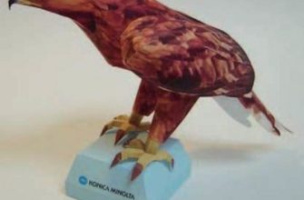 17356 berkut konica minolta iz bumagi razvertka shablon papercraft skachat besplatno mir bumazhnogo modelirovanija a10430b.jpg