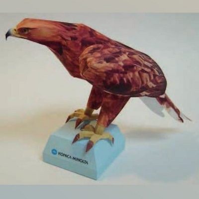 17356 berkut konica minolta iz bumagi razvertka shablon papercraft skachat besplatno mir bumazhnogo modelirovanija a10430b.jpg