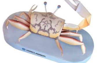 17357 manjashhij krab konica minolta iz bumagi razvertka shablon papercraft skachat besplatno mir bumazhnogo modelirovanija 7043134.jpg