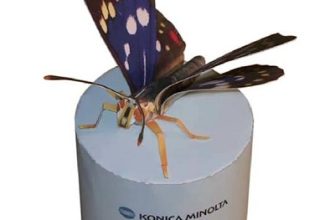 17358 babochka sasakia charonda konica minolta iz bumagi razvertka shablon papercraft skachat besplatno mir bumazhnogo modelirovanija c97d93f.jpg