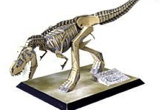 17636 tyrannosaurus skelet tirannozavra paper museum jp iz bumagi razvertka shablon papercraft skachat besplatno mir bumazhnogo modelirovanija d36974e.jpg