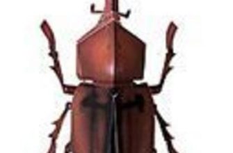 17642 zhuk allomyrina dichotoma paper museum jp iz bumagi razvertka shablon papercraft skachat besplatno mir bumazhnogo modelirovanija 7df551c.jpg