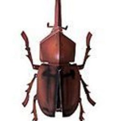 17642 zhuk allomyrina dichotoma paper museum jp iz bumagi razvertka shablon papercraft skachat besplatno mir bumazhnogo modelirovanija 7df551c.jpg