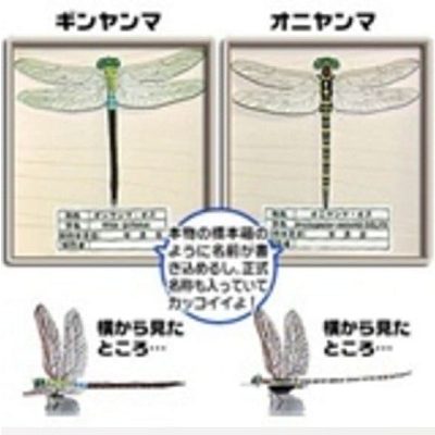 17646 tonbo strekozy anotogaster sieboldii i anax parthenope paper museum jp iz bumagi razvertka shablon papercraft skachat besplatno mir bumazhn fc61516.jpg