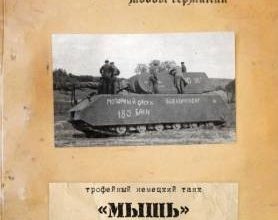 216 maus vtoroj front 10 iz bumagi razvertka shablon papercraft skachat besplatno mir bumazhnogo modelirovanija 19ea883.jpg