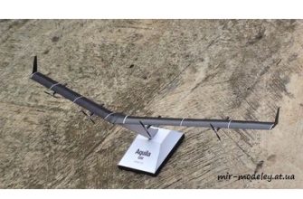 4196 facebook aquila uav paper replika iz bumagi razvertka shablon papercraft skachat besplatno mir bumazhnogo modelirovanija 61ea937.jpg