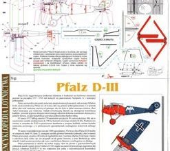 558 pfalz d iii kel 134 iz bumagi razvertka shablon papercraft skachat besplatno mir bumazhnogo modelirovanija c774e10.jpg