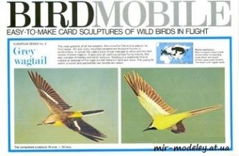 626 gornaja trjasoguzka grey wagtail birdmobile 04 iz bumagi razvertka shablon papercraft skachat besplatno mir bumazhnogo modelirovanija 17de0de.jpg