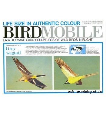 626 gornaja trjasoguzka grey wagtail birdmobile 04 iz bumagi razvertka shablon papercraft skachat besplatno mir bumazhnogo modelirovanija 17de0de.jpg