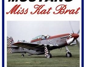 6283 p 51d mustang miss kat brat modelart iz bumagi razvertka shablon papercraft skachat besplatno mir bumazhnogo modelirovanija 6fc4d28.jpg