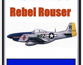 6284 north american p 51d mustang rebel rouser modelart iz bumagi razvertka shablon papercraft skachat besplatno mir bumazhnogo modelirovanija 9e6b125.jpg