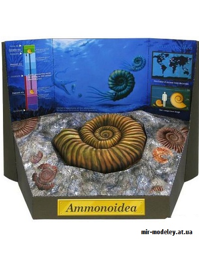 №9547 - Ammonite Fossil (Canon) из бумаги — развертка (шаблон) papercraft скачать бесплатно | Мир бумажного моделирования