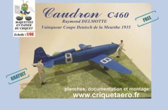1658 caudron c450 coupe deutsch de la meurthe criquet iz bumagi razvertka shablon papercraft skachat besplatno mir bumazhnogo modelirovanija fb09d86.jpg