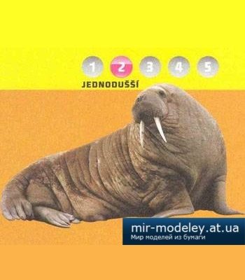 1690 tihookeanskij morzh mroz pacifickyacute abc 62010 iz bumagi razvertka shablon papercraft skachat besplatno mir bumazhnogo modelirovanija 6149957.jpg