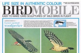 1732 lesser spotted woodpecker birdmobile 07 iz bumagi razvertka shablon papercraft skachat besplatno mir bumazhnogo modelirovanija 4302075.jpg