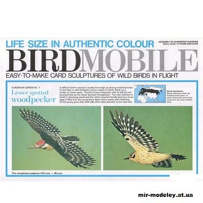 1732 lesser spotted woodpecker birdmobile 07 iz bumagi razvertka shablon papercraft skachat besplatno mir bumazhnogo modelirovanija 4302075.jpg