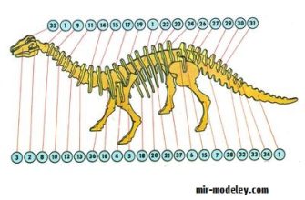 17831 brontosaurus abc 121980 iz bumagi razvertka shablon papercraft skachat besplatno mir bumazhnogo modelirovanija 505dfc9.jpg