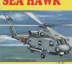 1802 sea hawk 1 izdanie gpm 122 iz bumagi razvertka shablon papercraft skachat besplatno mir bumazhnogo modelirovanija 3c46808.jpg