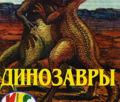 igra konstruktor samodelka pilot iks pilot 11 1999 271025 0759 pikabu 172bf70.jpg
